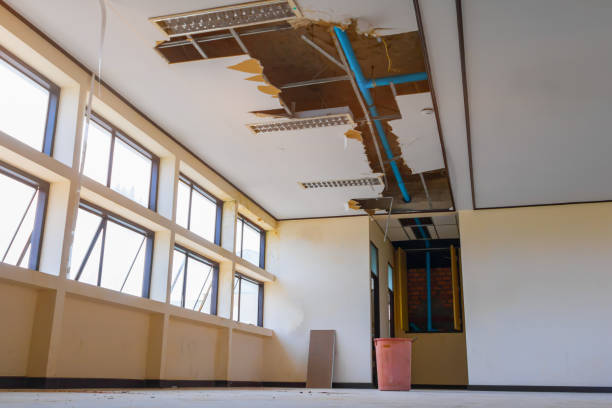 Best Fire Damage Restoration  in Budd Lake, NJ