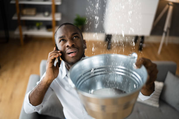 Best Local water damage restoration  in Budd Lake, NJ