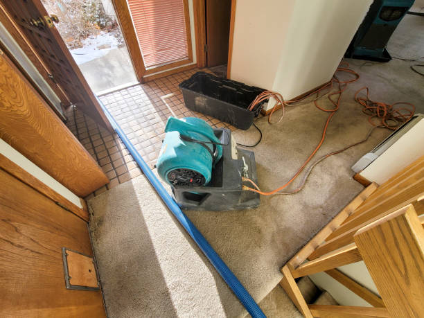  Budd Lake, NJ Water damage restoration Pros