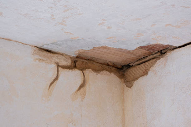Best Ceiling water damage repair  in Budd Lake, NJ