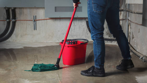 Best Water damage contractors near me  in Budd Lake, NJ