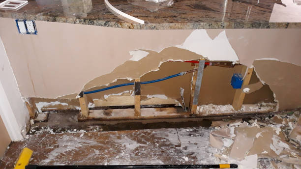 Best Water damage restoration experts  in Budd Lake, NJ