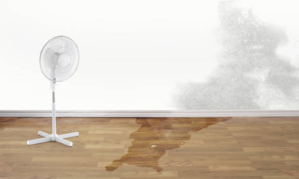 Local water damage restoration in Budd Lake, NJ