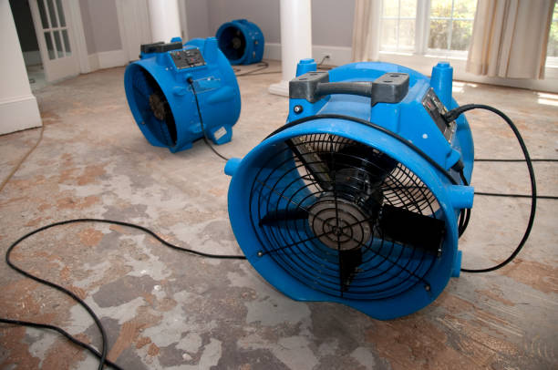 Best Commercial water damage restoration  in Budd Lake, NJ