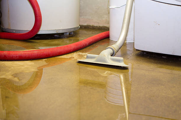 Best Water damage contractors near me  in Budd Lake, NJ