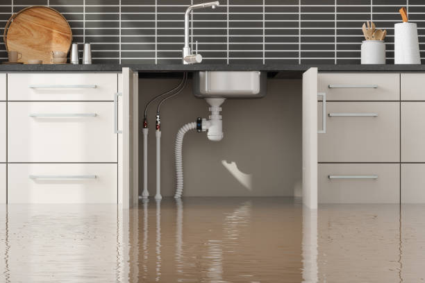 Best Water damage restoration near me  in Budd Lake, NJ