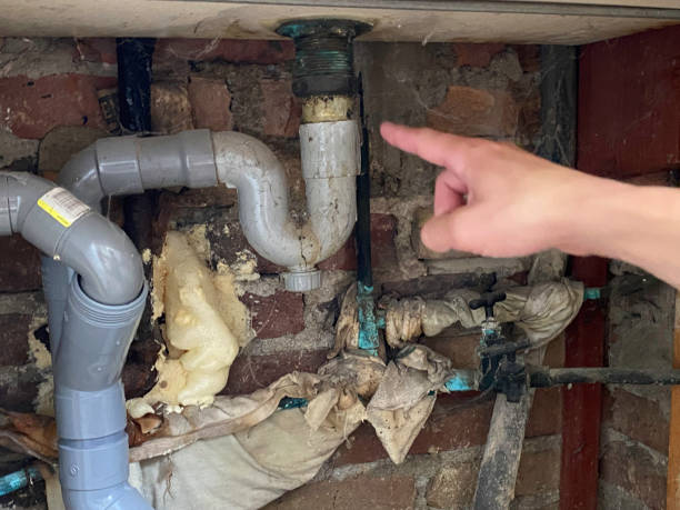 Best Water damage cleanup near me  in Budd Lake, NJ