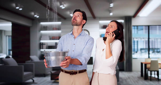 Best 24/7 water damage repair  in Budd Lake, NJ